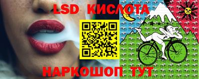 спайс Коммунар