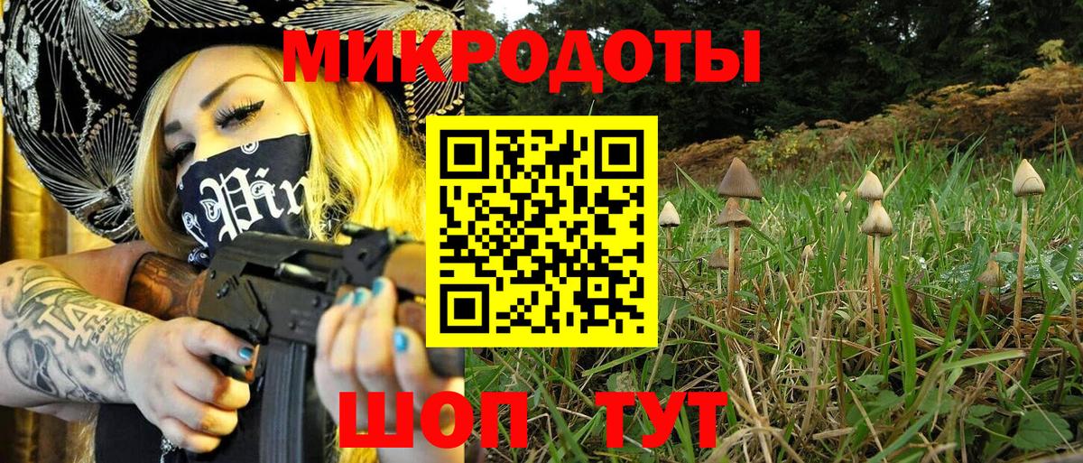 Феодосия  Галлюциногенные грибы Psilocybine cubensis  Вход с VPN 